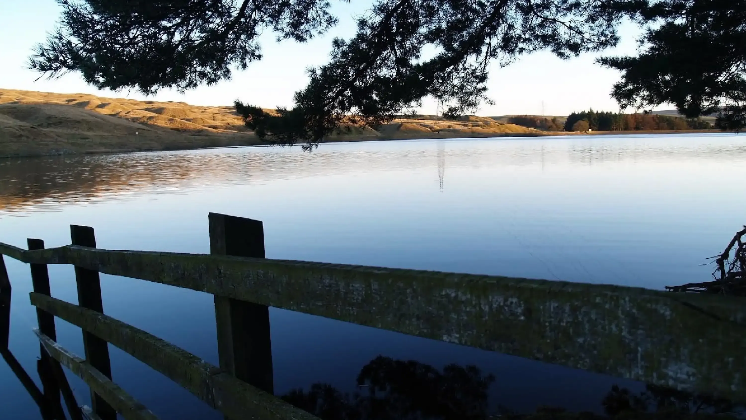 A shot of the lake