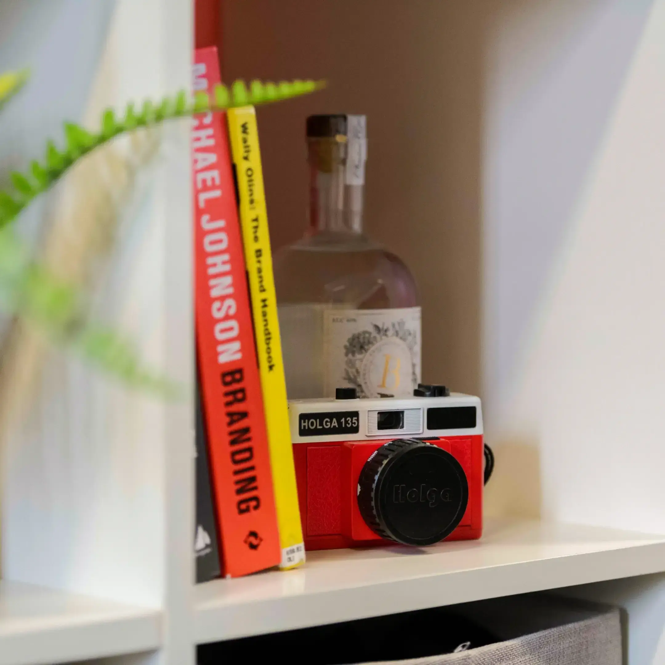 A selection of book and lomo camera on a shelf