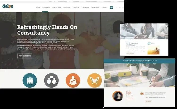 Screenshot of Delve's website